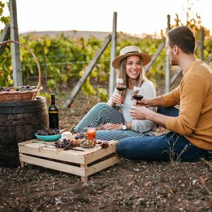 Vinodil? Wineways di Avant Srl